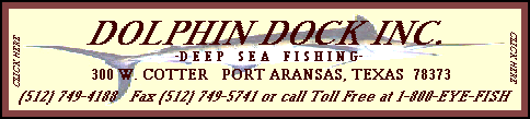 Dolphin Dock Inc. Banner